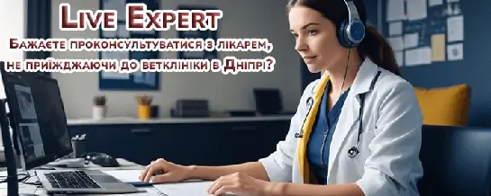 Ветеринарна клініка Панда. Онлайн консультація